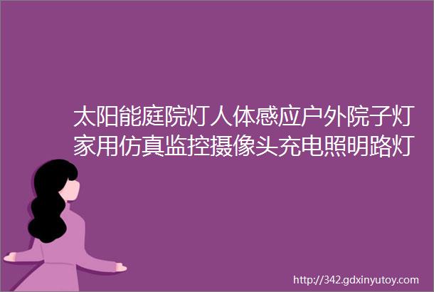 太阳能庭院灯人体感应户外院子灯家用仿真监控摄像头充电照明路灯