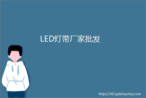 LED灯带厂家批发