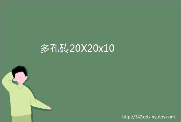 多孔砖20X20x10